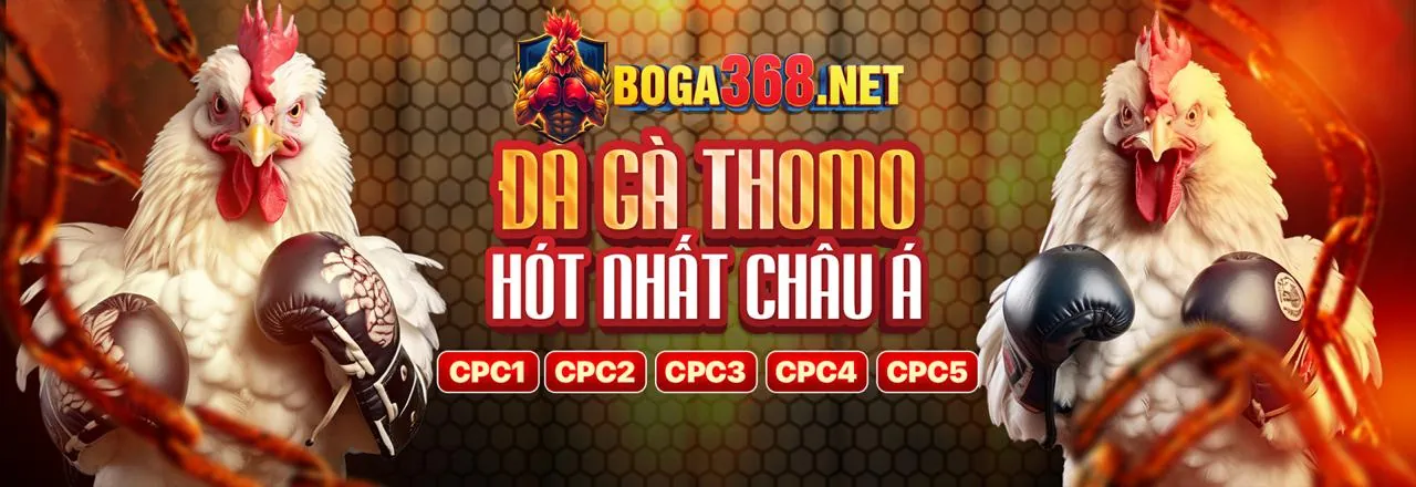 Đá Gà Trực Tuyến Hấp Dẫn tại 678win App Android